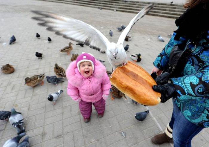 sad that was their last bread and now they are hungry