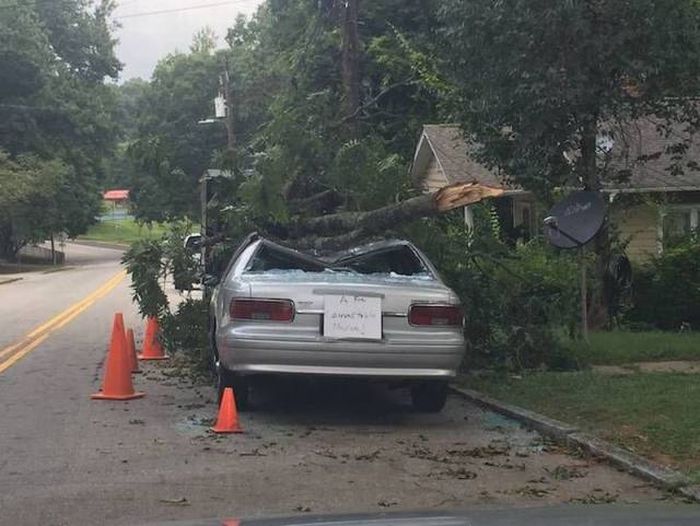 thanks orange cones we didnt notice the crushed car