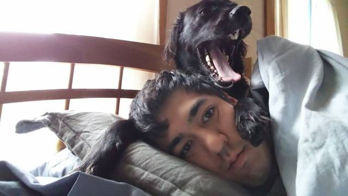 that canine alarm clock from spencer s gifts is annoying