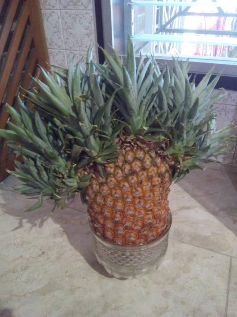 that pineapple took one too many roids