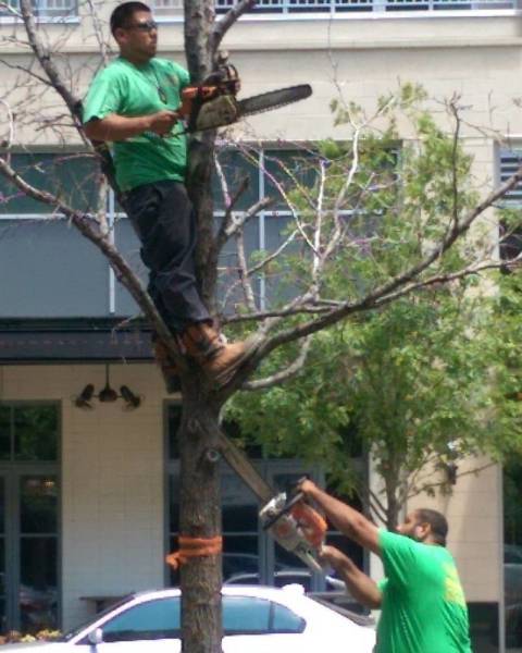 that tree was a bitch they had three other dudes show up