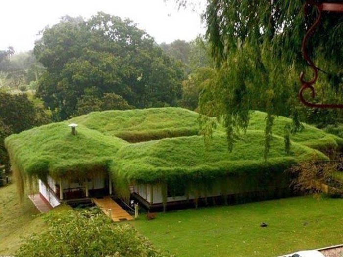 the cool looking roof distracts from the mold problem inside