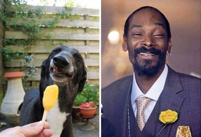 the reason they call him snoop dogg