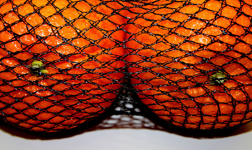 these saucy oranges enjoy a good fishnet top