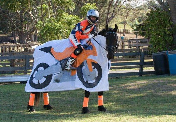 this couple s costume wins halloween this year