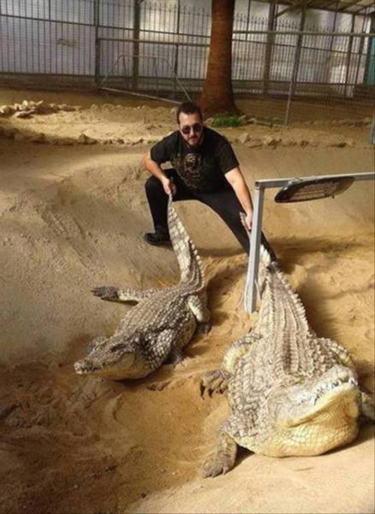 this guy fights dudes by swinging crocodiles over his head