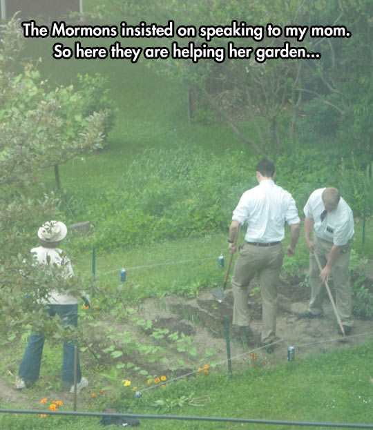 this is what we call a win in the gardening business