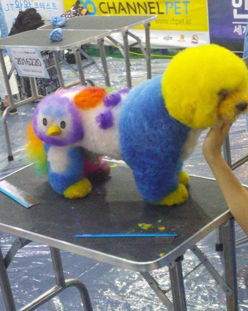 this is why clowns should not be allowed to own pets