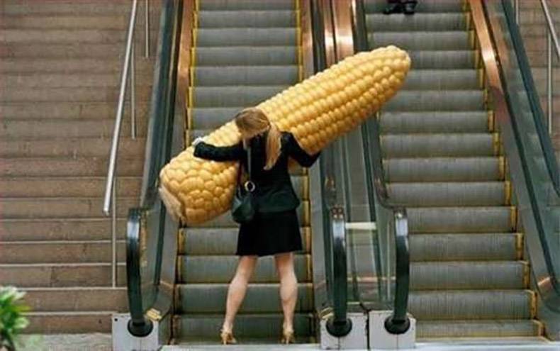 those gmo s are out of hand