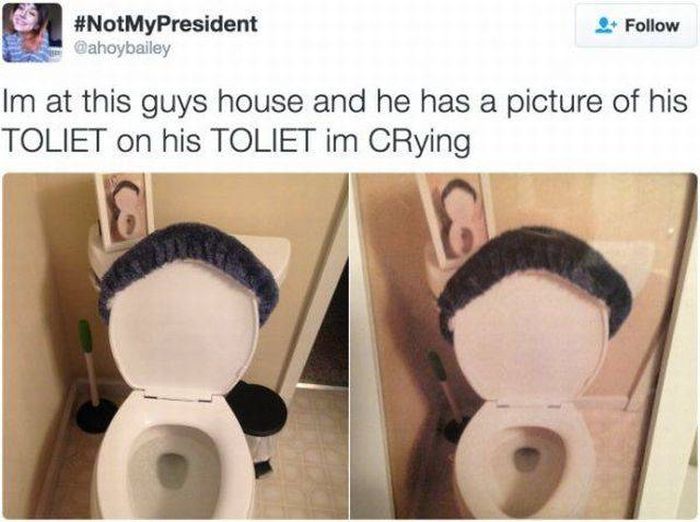 to be fair that toilet has hair