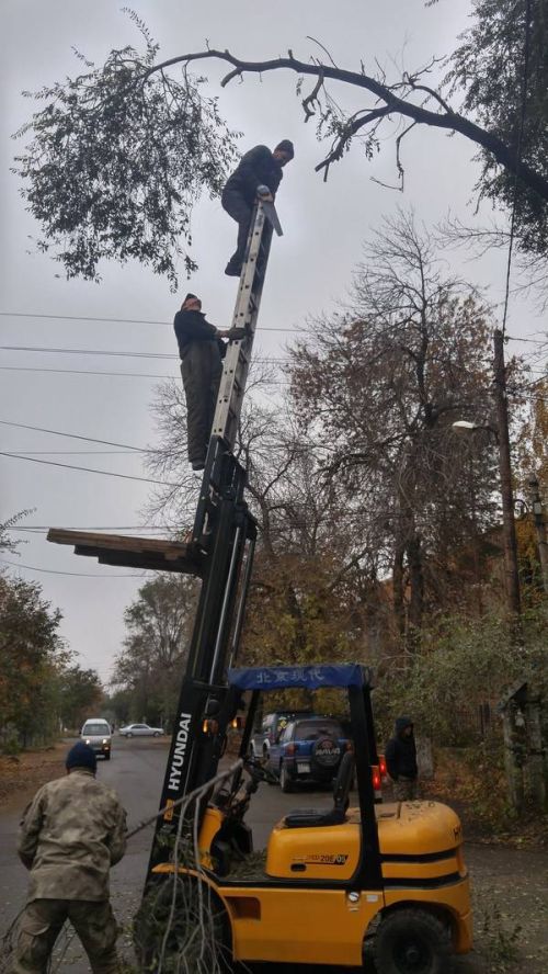 tom is going a little nuts on the halloween decorations this year