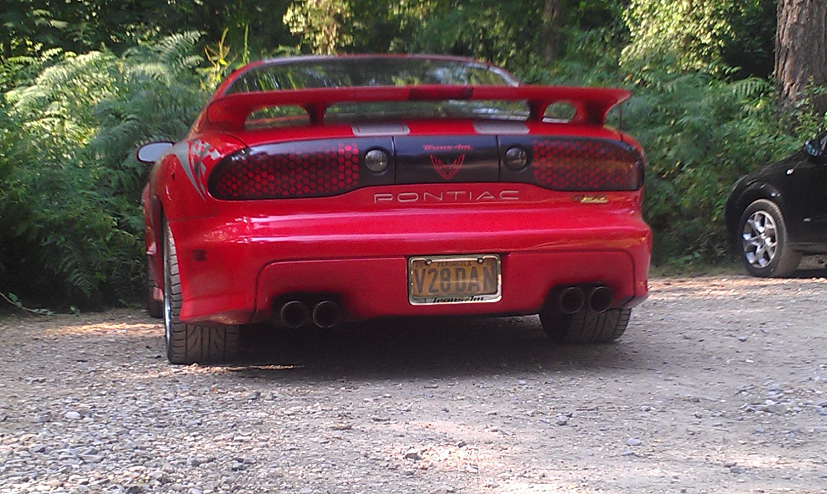 Trans-Am on a sunny day in Creech Wood Denmead.