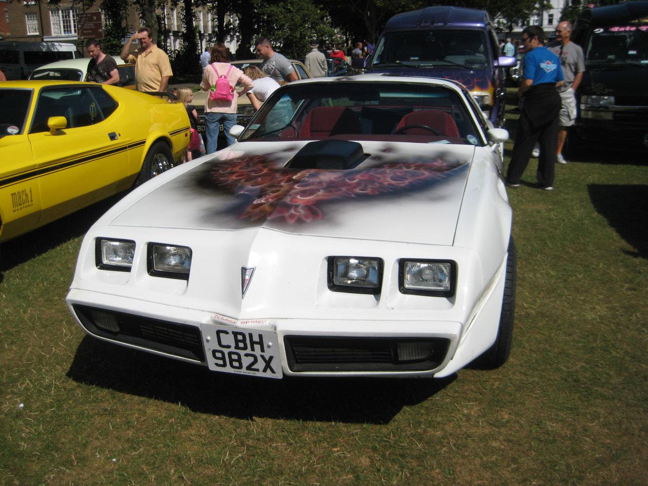 Trans-Am with a flaming screaming chicken